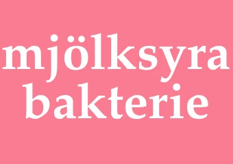 Synonym mjölksyrabakterie