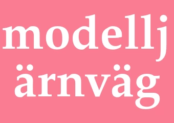 Synonym modelljärnväg