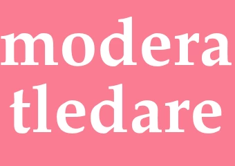Synonym moderatledare