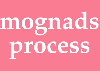 Synonym mognadsprocess