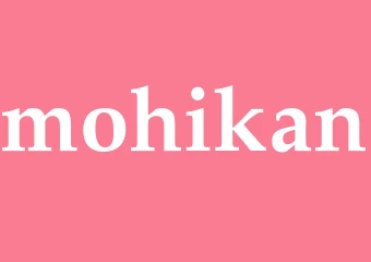 Synonym mohikan
