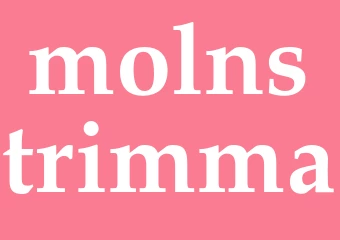 Synonym molnstrimma