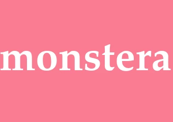 Synonym monstera