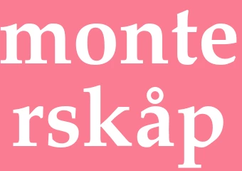Synonym monterskåp