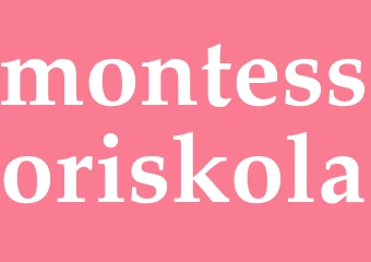 Synonym montessoriskola
