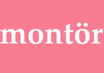 Synonym montör