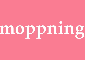 Synonym moppning