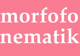Synonym morfofonematik