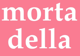 Synonym mortadella
