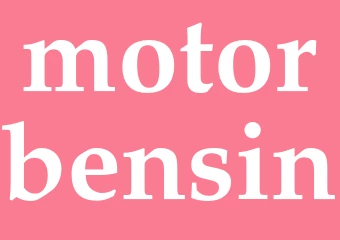 Synonym motorbensin