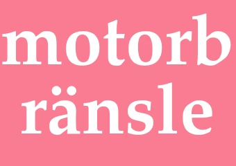 Synonym motorbränsle