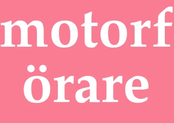 Synonym motorförare