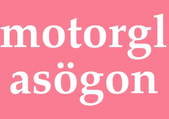 Synonym motorglasögon