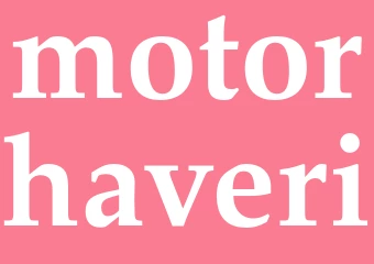 Synonym motorhaveri