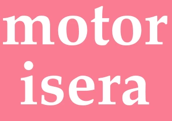 Synonym motorisera