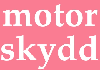 Synonym motorskydd