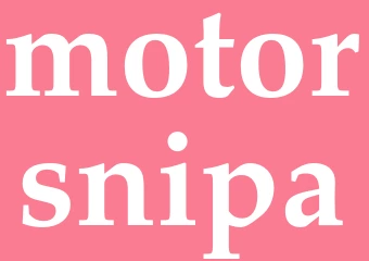 Synonym motorsnipa