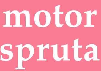 Synonym motorspruta