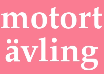 Synonym motortävling