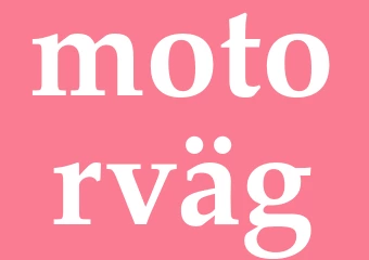 Synonym motorväg
