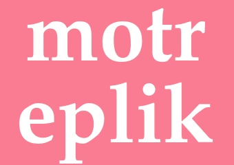 Synonym motreplik