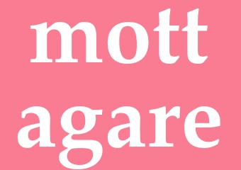 Synonym mottagare