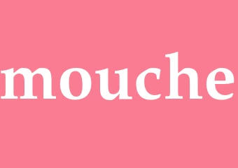Synonym mouche