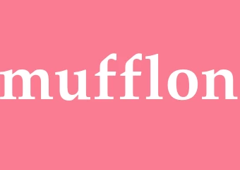 Synonym mufflon