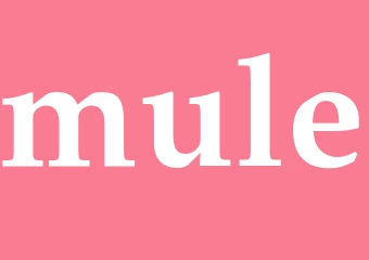 Synonym mule