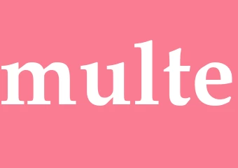 Synonym multe