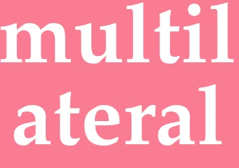 Synonym multilateral