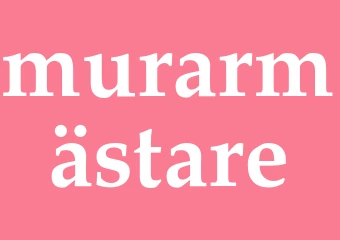 Synonym murarmästare