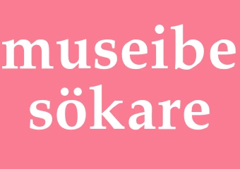 Synonym museibesökare