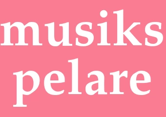 Synonym musikspelare
