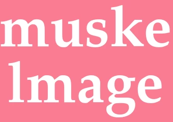 Synonym muskelmage