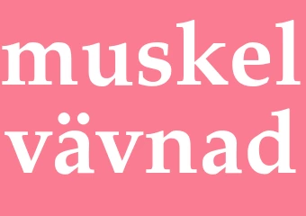 Synonym muskelvävnad