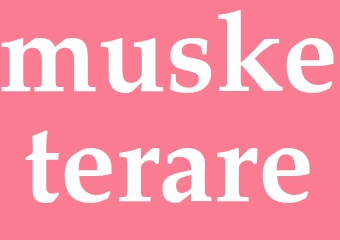 Synonym musketerare
