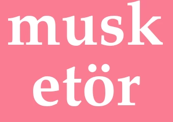 Synonym musketör