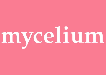 Synonym mycelium
