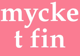 Synonym mycket fin