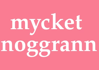 Synonym mycket noggrann