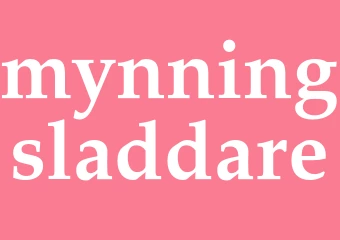 Synonym mynningsladdare