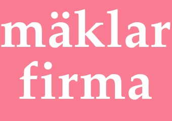 Synonym mäklarfirma