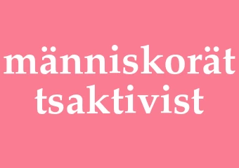 Synonym människorättsaktivist