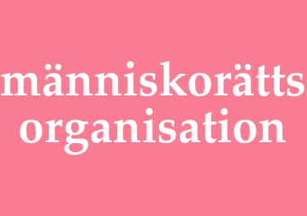 Synonym människorättsorganisation