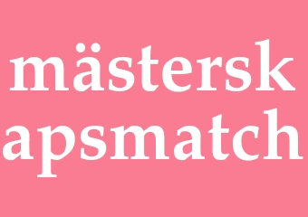 Synonym mästerskapsmatch