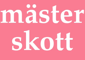 Synonym mästerskott