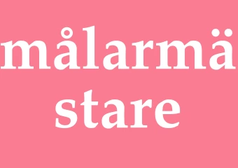 Synonym målarmästare