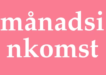 Synonym månadsinkomst