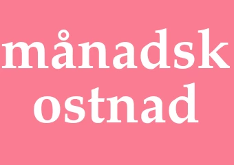 Synonym månadskostnad